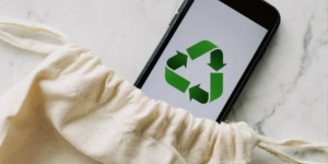 Eco-Friendly Moving: How Packers and Movers Can Help You Reduce Waste